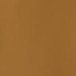 Raw Umber